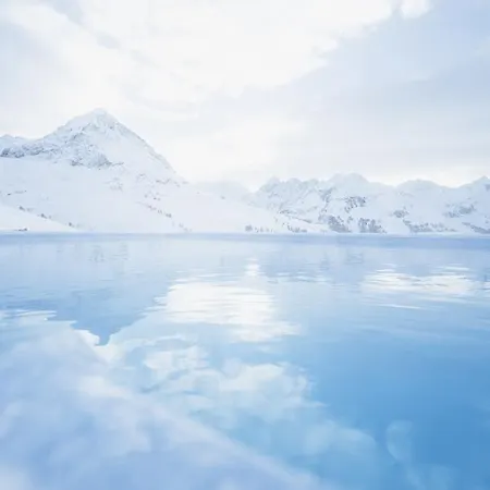 فندق Mooshaus Winterresort