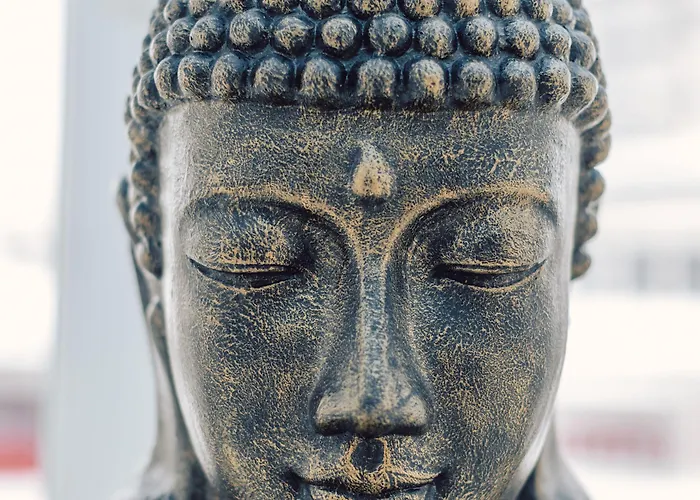 Mooshaus Winterresort Hotel