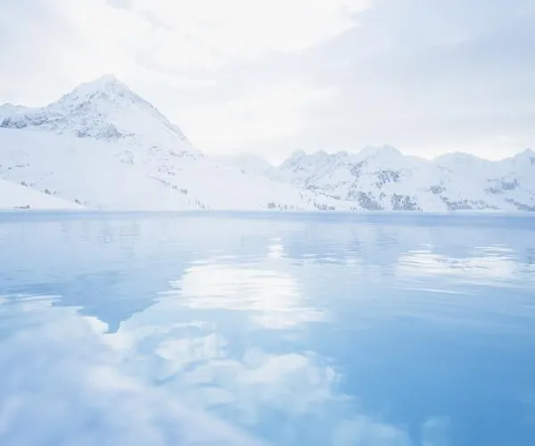 酒店 Mooshaus Winterresort